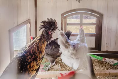 7940 Hooker Street, Westminster, CO 80030 - Photo 33