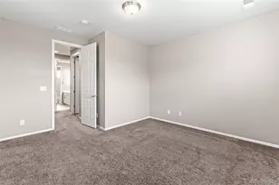 435 Sage Grouse Cir, Castle Rock, CO 80109 - Photo 41