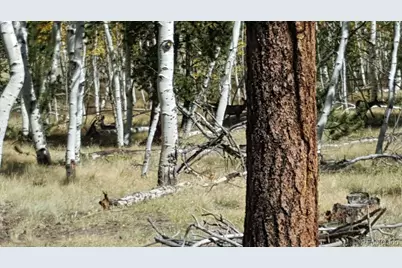 9736 Ranch Road, Hartsel, CO 80449 - Photo 31