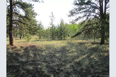 9736 Ranch Road, Hartsel, CO 80449 - Photo 1