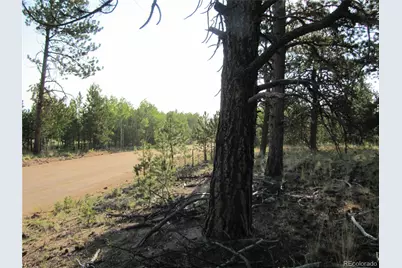 9736 Ranch Road, Hartsel, CO 80449 - Photo 5