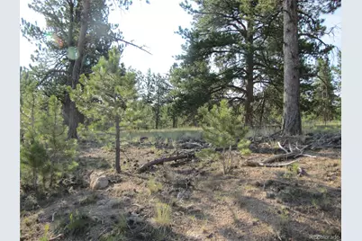 9736 Ranch Road, Hartsel, CO 80449 - Photo 3