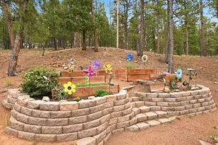 15026 Pine Lake Dr, Woodland Park, CO 80863 - Photo 39