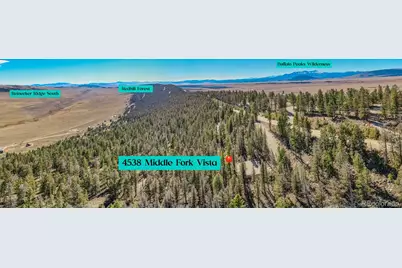 4538 Middle Fork Vista, Fairplay, CO 80440 - Photo 9