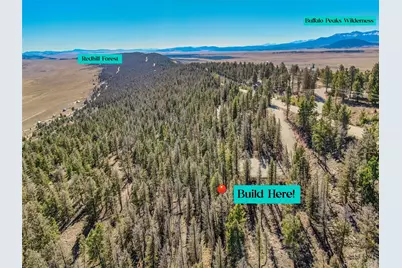 4538 Middle Fork Vista, Fairplay, CO 80440 - Photo 7