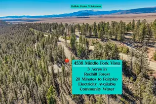 4538 Middle Fork Vista, Fairplay, CO 80440 - Photo 1