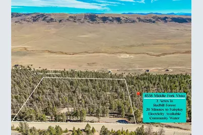 4538 Middle Fork Vista, Fairplay, CO 80440 - Photo 5