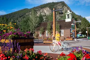 413 Teller St, Frisco, CO 80443 - Photo 11