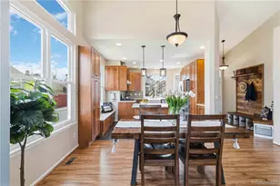 12587 S Dove Creek Way, Parker, CO 80134 - Photo 13