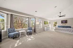 17063 E Rosebay Cir, Parker, CO 80134 - Photo 29