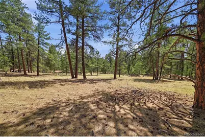 35446 Running Brook Lane, Elizabeth, CO 80107 - Photo 21