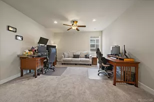 10260 Cosmopolitan Cir, Parker, CO 80134 - Photo 31