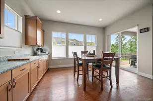 10260 Cosmopolitan Cir, Parker, CO 80134 - Photo 21