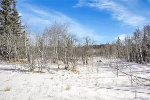 280 Apache Trail, Jefferson, CO 80456 - Photo 33