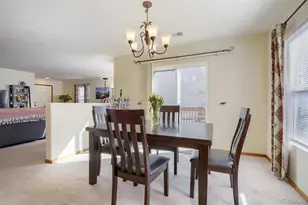 9790 Marmot Ridge Cir, Littleton, CO 80125 - Photo 17