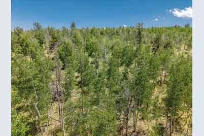 40 Brahma Court, Hartsel, CO 80449 - Photo 17