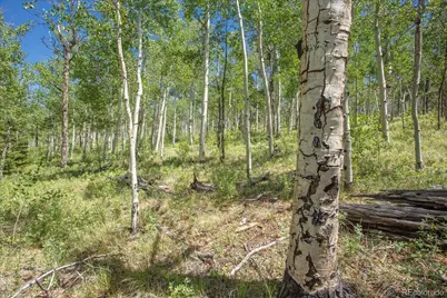 40 Brahma Court, Hartsel, CO 80449 - Photo 23