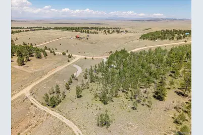 40 Brahma Court, Hartsel, CO 80449 - Photo 5