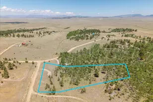 40 Brahma Ct, Hartsel, CO 80449 - Photo 1