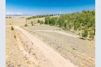 40 Brahma Court, Hartsel, CO 80449 - Photo 9