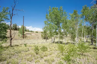 40 Brahma Court, Hartsel, CO 80449 - Photo 21