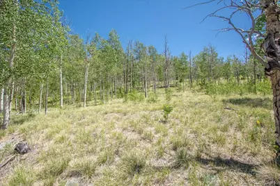 40 Brahma Court, Hartsel, CO 80449 - Photo 19