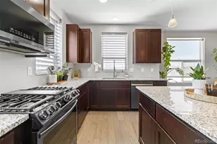9083 E Northfield Blvd, Denver, CO 80238 - Photo 7