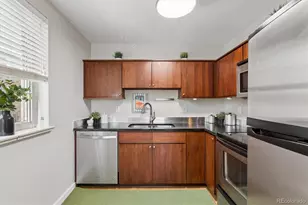271 N Grant St, Denver, CO 80203 - Photo 21