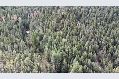 7893 Fourmile Canyon Drive, Boulder, CO 80302 - Photo 5