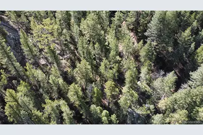 7893 Fourmile Canyon Drive, Boulder, CO 80302 - Photo 9