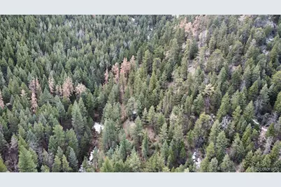 7893 Fourmile Canyon Drive, Boulder, CO 80302 - Photo 7