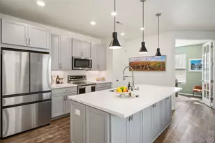 3025 Low Meadow Blvd, Castle Rock, CO 80109 - Photo 7