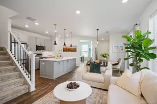 3025 Low Meadow Blvd, Castle Rock, CO 80109 - Photo 3