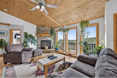 196 Conifer Drive, Bailey, CO 80421 - Photo 17