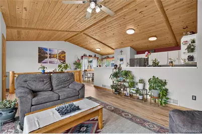 196 Conifer Drive, Bailey, CO 80421 - Photo 5