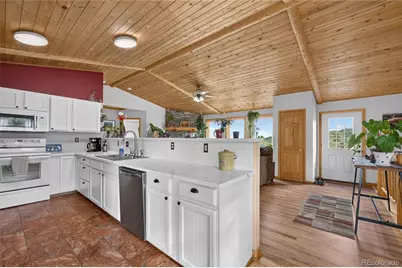196 Conifer Drive, Bailey, CO 80421 - Photo 15