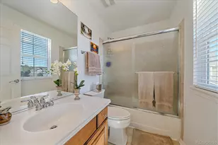 3615 Crosshaven Ct, Castle Rock, CO 80104 - Photo 31