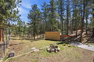 234 Impala Trail, Bailey, CO 80421 - Photo 37