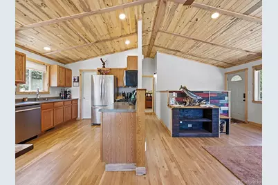 234 Impala Trail, Bailey, CO 80421 - Photo 11