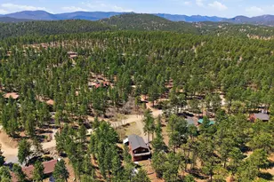 234 Impala Trail, Bailey, CO 80421 - Photo 43