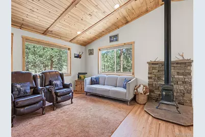 234 Impala Trail, Bailey, CO 80421 - Photo 5