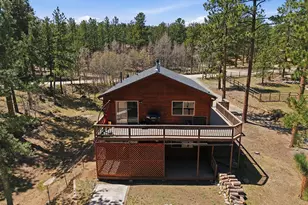 234 Impala Trail, Bailey, CO 80421 - Photo 31