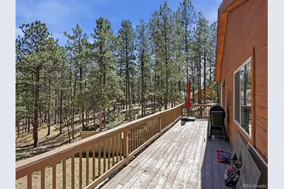 234 Impala Trail, Bailey, CO 80421 - Photo 33
