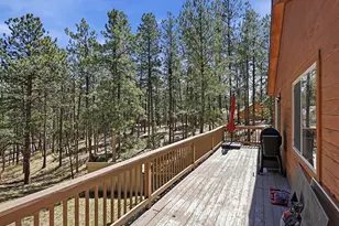 234 Impala Trail, Bailey, CO 80421 - Photo 33