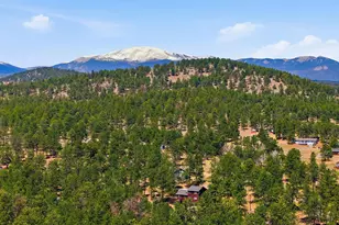234 Impala Trail, Bailey, CO 80421 - Photo 47