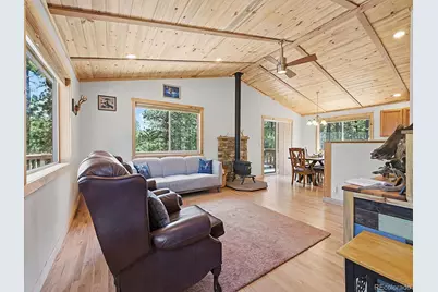 234 Impala Trail, Bailey, CO 80421 - Photo 3
