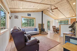 234 Impala Trail, Bailey, CO 80421 - Photo 3
