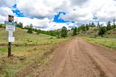 75 Deer Run, Guffey, CO 80820 - Photo 47
