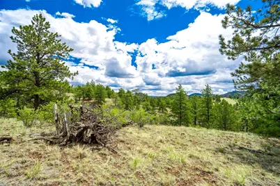 75 Deer Run, Guffey, CO 80820 - Photo 35