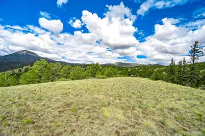 75 Deer Run, Guffey, CO 80820 - Photo 21